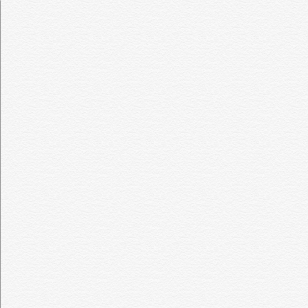 Meet your Posher, Mollie